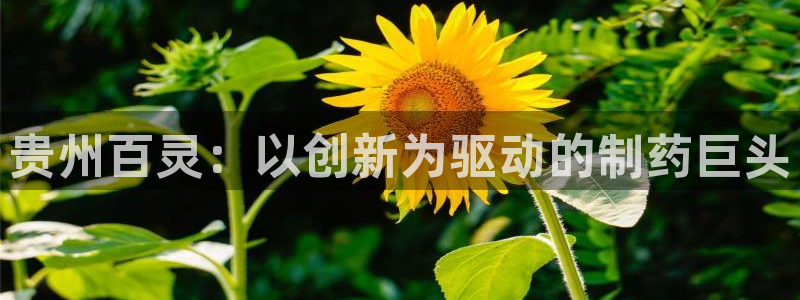 九游老哥俱乐部官网登录：贵州百灵：以创新为驱动的制药巨头