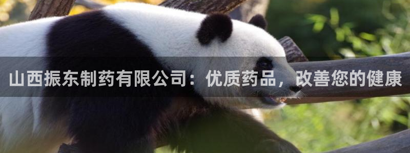 usdt九游会老哥俱乐部：山西振东制药有限公司：优质药品，改善您的健康