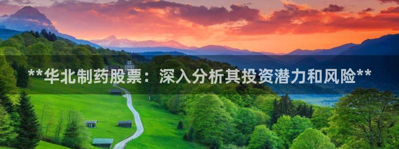 九游会老哥：**华北制药股票：深入分析其投资潜力和风险**