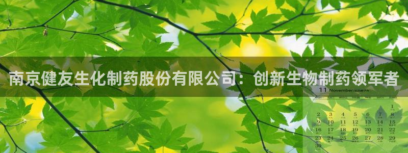 九游会老哥：南京健友生化制药股份有限公司：创新生物制药领军者