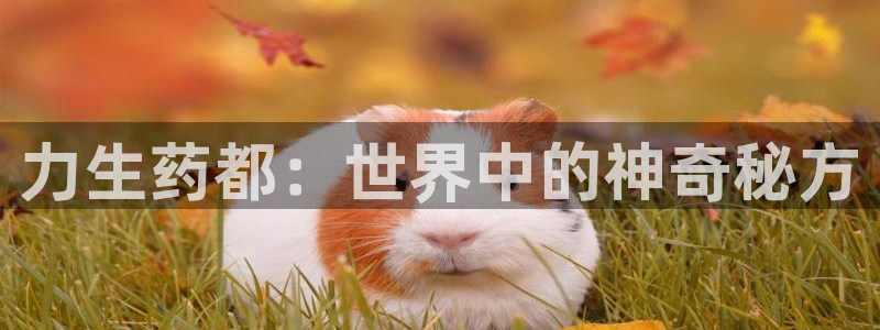 九游会老哥：力生药都：世界中的神奇秘方