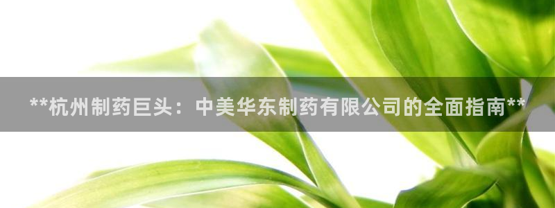 九游老哥俱乐部官网登录不了：**杭州制药巨头：中美华东制药有限公司的全面指南**
