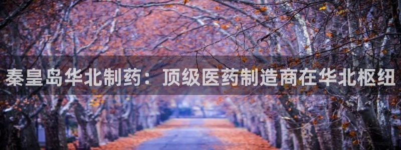 九游会老哥俱乐部官方网站：秦皇岛华北制药：顶级医药制造商在华北枢纽
