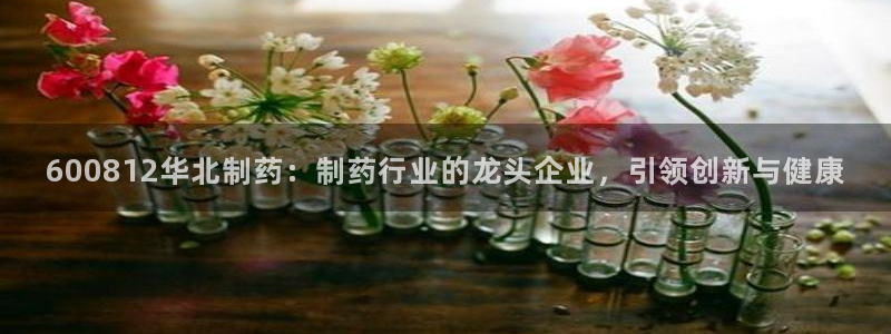 九游会老哥：600812华北制药：制药行业的龙头企业，引领创新与健康