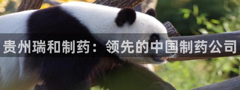 九游会老哥俱乐部论坛版：贵州瑞和制药：领先的中国制药公司