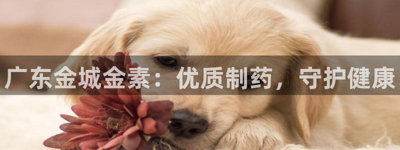 usdt九游会老哥俱乐部：广东金城金素：优质制药，守护健康