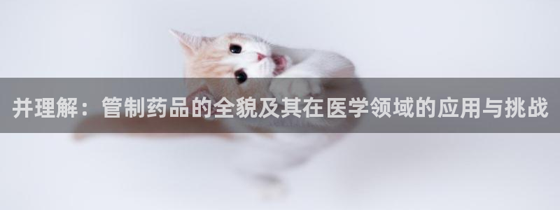 usdt九游会老哥俱乐部