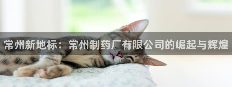 九游会老哥必备的交流社区九