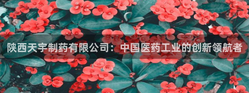 九游会老哥俱乐部必备的交流社区