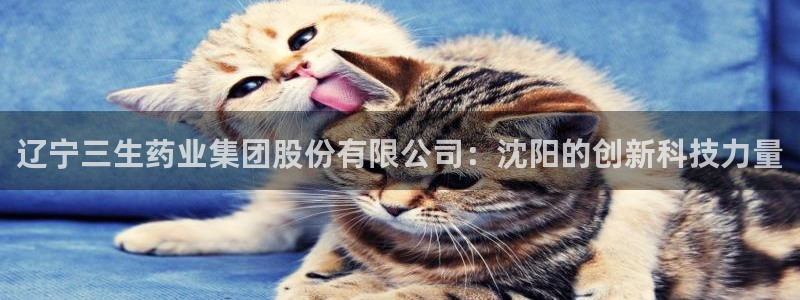 九游会老哥俱乐部交流社区