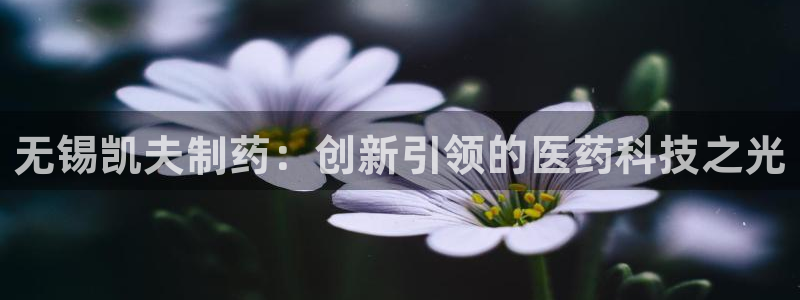 九游老哥俱乐部登录：无锡凯夫制药：创新引领的医药科技之光