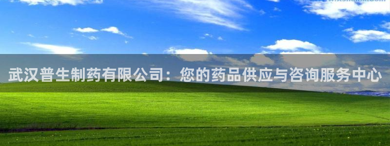 九游会老哥俱乐部官网首页论坛：武汉普生制药有限公司：您的药品供应与咨询服务中心
