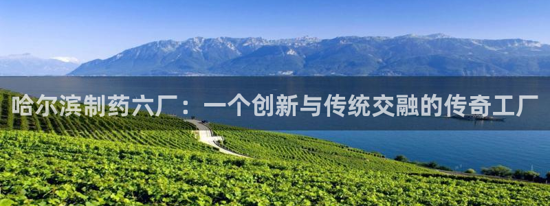九游老哥俱乐部登录：哈尔滨制药六厂：一个创新与传统交融的传奇工厂