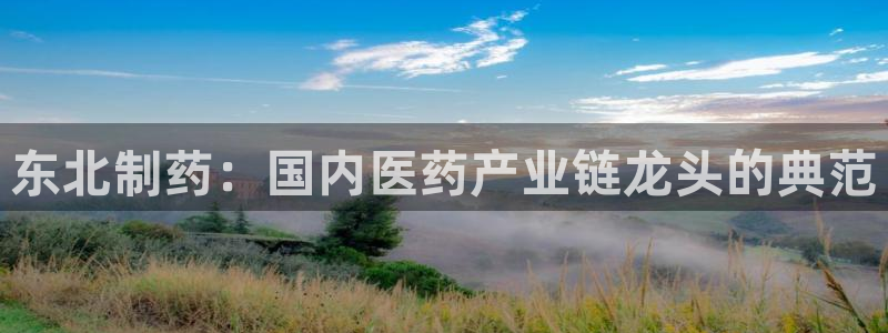 ag九游会老哥：东北制药：国内医药产业链龙头的典范
