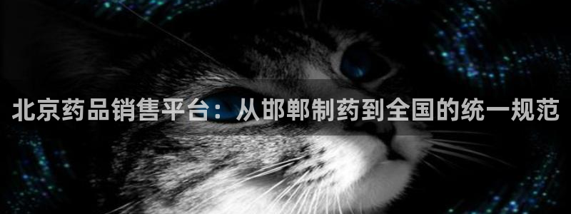 九游会老哥俱乐部官方网站：北京药品销售平台：从邯郸制药到全国