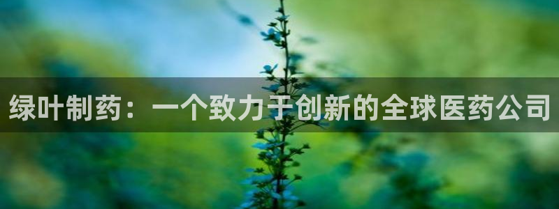 ag九游会老哥