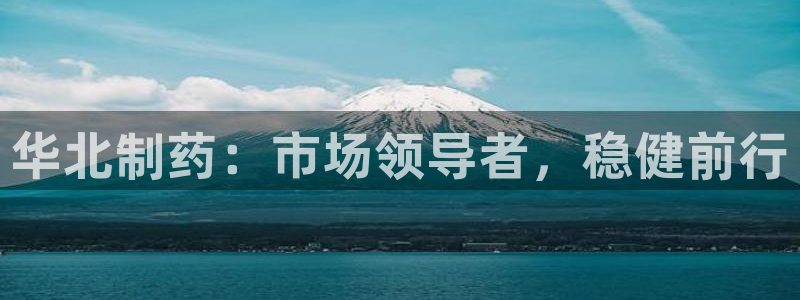九游老哥俱乐部官网登录：华北制药：市场领导者，稳健前行