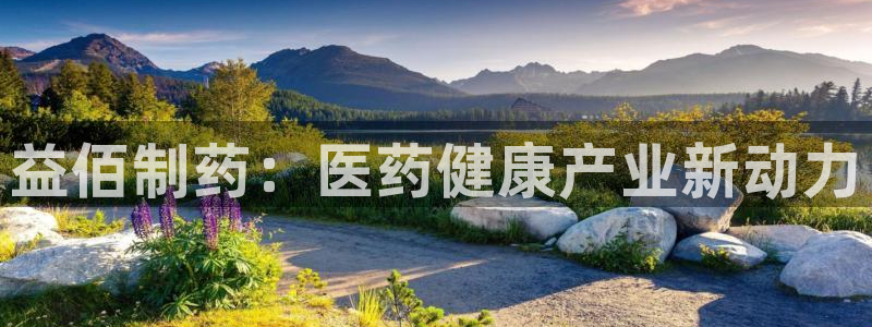 九游会老哥必备的交流社区：益佰制药：医药健康产业新动力