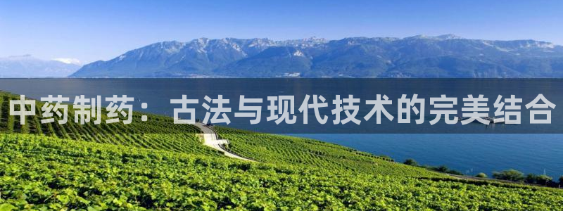 九游会老哥必备的交流社区九：中药制药：古法与现代技术的完美结合