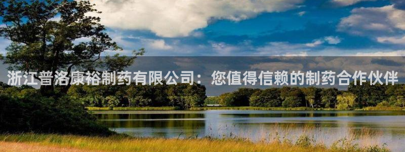九游老哥俱乐部官网登录：浙江普洛康裕制药有限公司：您值得信赖的制药合作伙伴