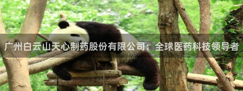 九游老哥俱乐部官网登录不了：广州白云山天心制药股份有限公司：全球医药科技领导者