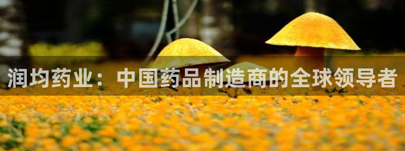 九游老哥俱乐部官网登录网址：润均药业：中国药品制造商的全球领导者