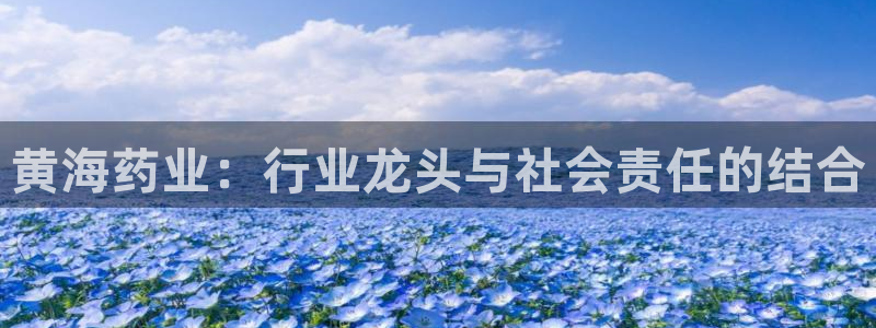九游会老哥必备的交流社区：黄海药业：行业龙头与社会责任的结合