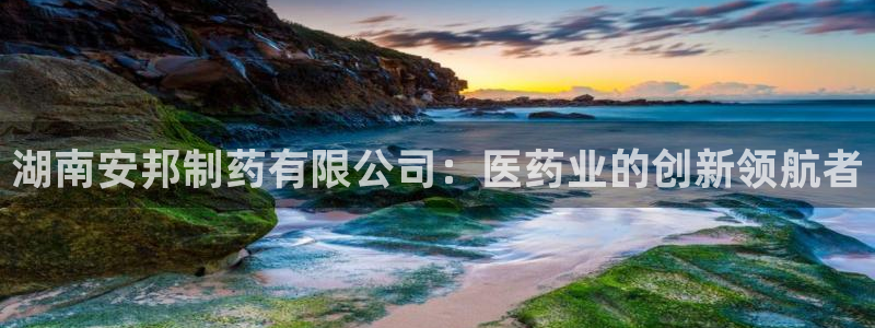 九游老哥俱乐部官网登录入口：湖南安邦制药有限公司：医药业的创新领航者