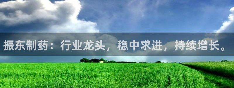 j9九游会老哥俱乐部交流区：振东制药：行业龙头，稳中求进，持续增长。
