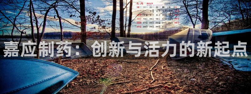 九游会老哥必备的交流社区：嘉应制药：创新与活力的新起点