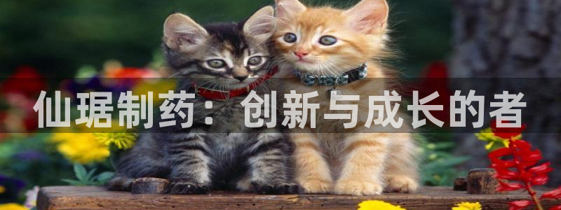 九游会老哥俱乐部：仙琚制药：创新与成长的者