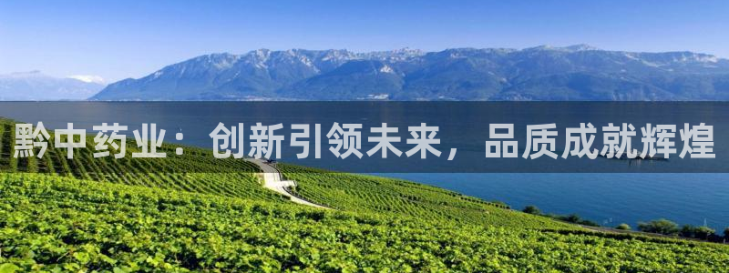 九游老哥俱乐部登录：黔中药业：创新引领未来，品质成就辉煌