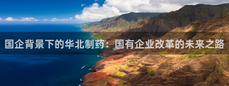 九游会老哥必备的交流社区：国企背景下的华北制药：国有企业改革的未来之路
