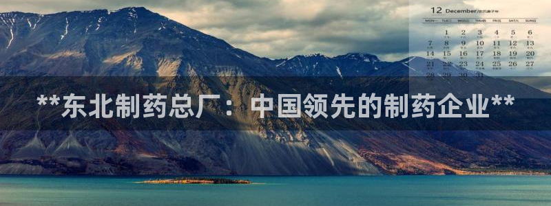 9游会老哥：**东北制药总厂：中国领先的制药企业**
