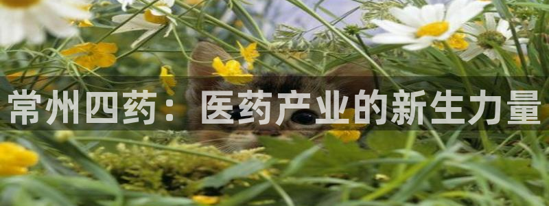 ag九游老哥俱乐部：常州四药：医药产业的新生力量