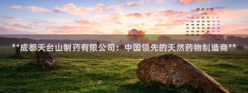 九游会老哥必备的交流社区：**成都天台山制药有限公司：中国领先的天然药物制造商**