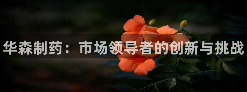 9游会老哥：华森制药：市场领导者的创新与挑战