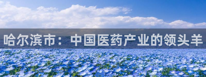 ag九游会老哥俱乐部：哈尔滨市：中国医药产业的领头羊