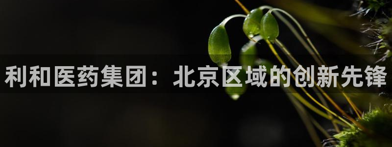 九游会老哥俱乐部必备的交流社区论坛：利和医药集团：北京区域的创新先锋