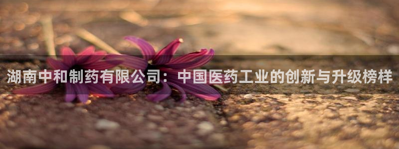 老哥吧九游会下架吗：湖南中和制药有限公司：中国医药工业的创新与升级榜样