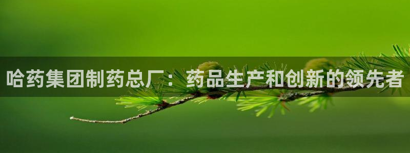 九游老哥俱乐部官网登录不了：哈药集团制药总厂：药品生产和创新的领先者