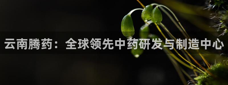 9游会老哥俱乐部