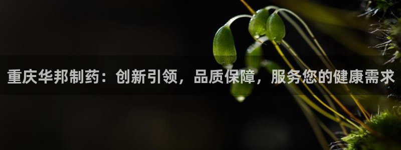 九游老哥俱乐部官网登录入口