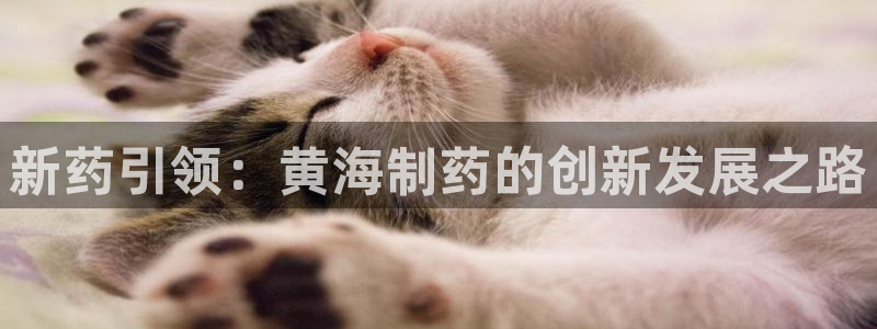 九游老哥俱乐部官网登录