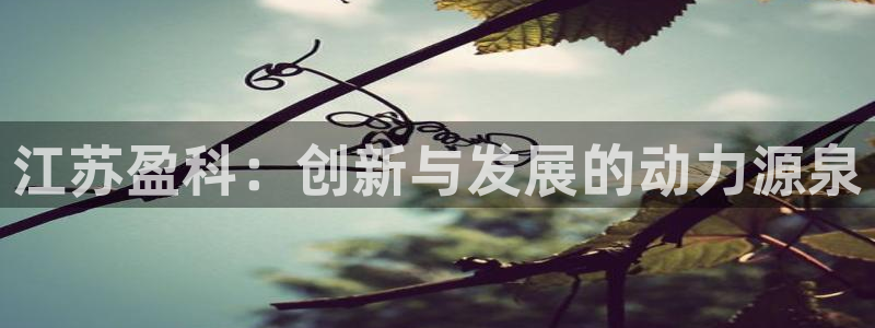 九游会老哥：江苏盈科：创新与发展的动力源泉